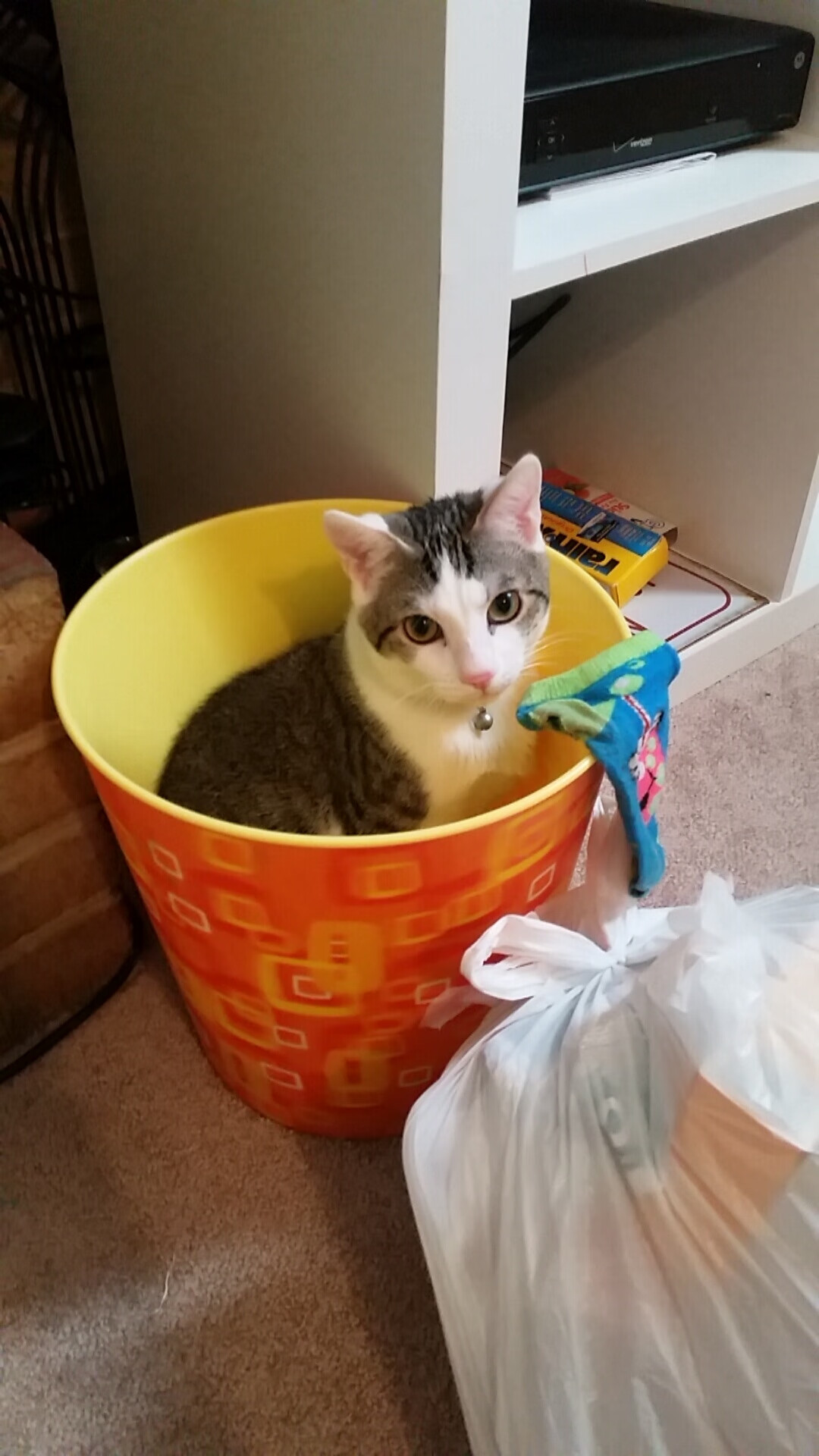 开云体育官网-诸神黄昏，天方破晓，迪亚斯与摩洛哥强行开启的时代之门