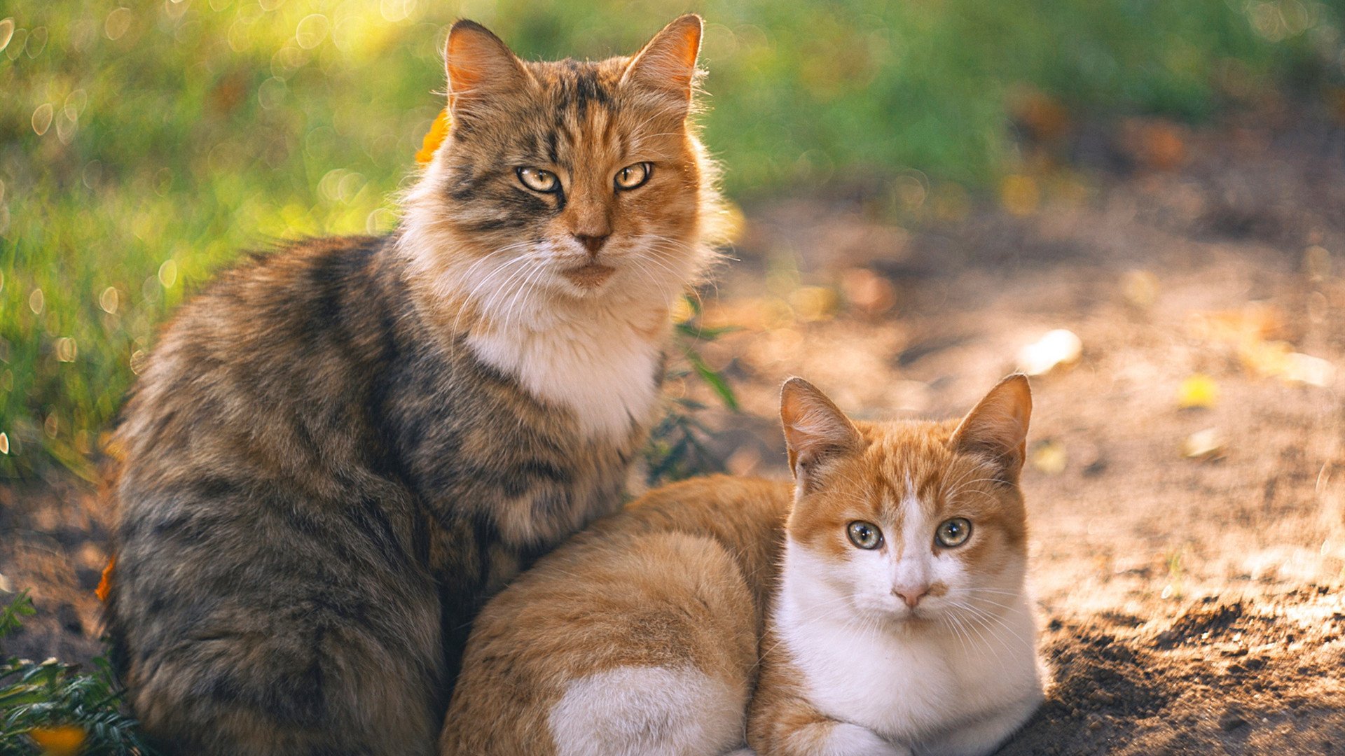 唯一的钥匙与唯一的锁，当绝对防守成为终极答案