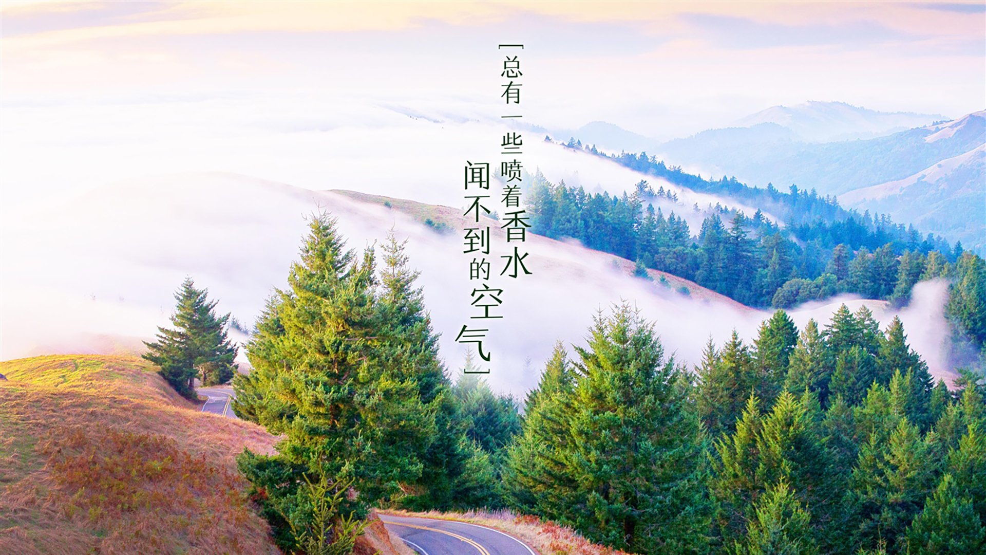 巴尔干闪电,保加利亚如何用一场完美风暴横扫意大利