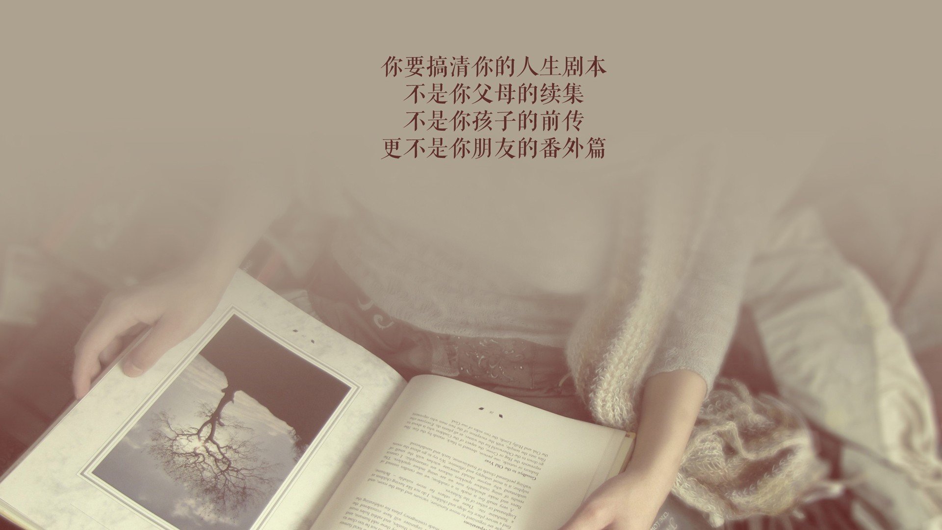 不朽的逆鳞,当日本战车碾过半场,波斯锋刃如何刺穿桑巴的六星幻梦?